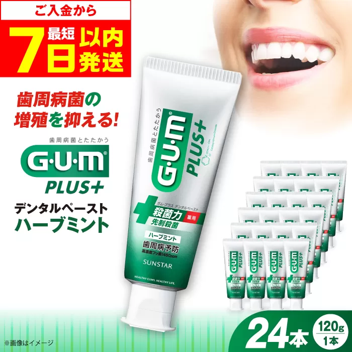ガム・プラス デンタルペースト 120g×24本(ハーブミント) 歯磨き 歯みがき ハミガキ 歯周病 虫歯 口臭 大阪府高槻市/サンスター[AOAD027]
