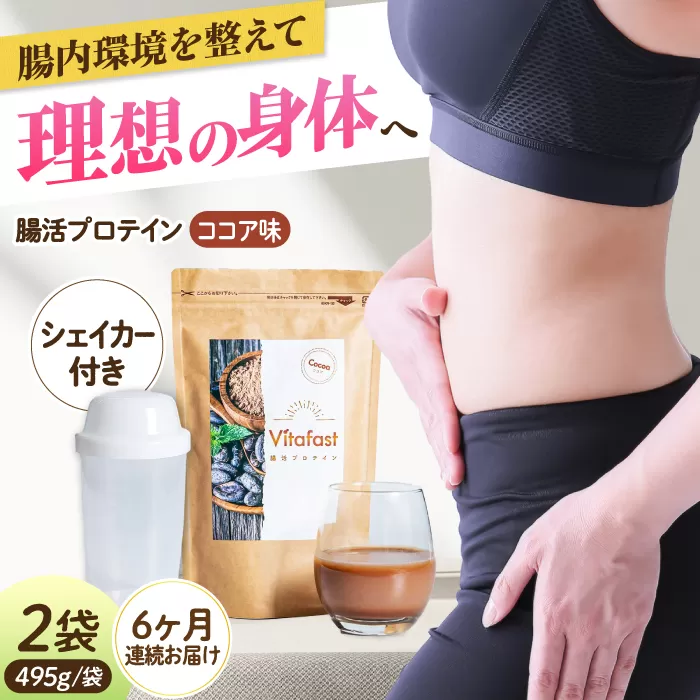【定期便6ヶ月連続】Vitafast 乳酸菌プロテイン ココア味 2袋×6ヶ月 計12袋 シェイカー1個付き 筋トレ プロテイン トレーニング 運動 シェイカー 大阪府高槻市/合同会社会社VITASTRATE[AOCH003]