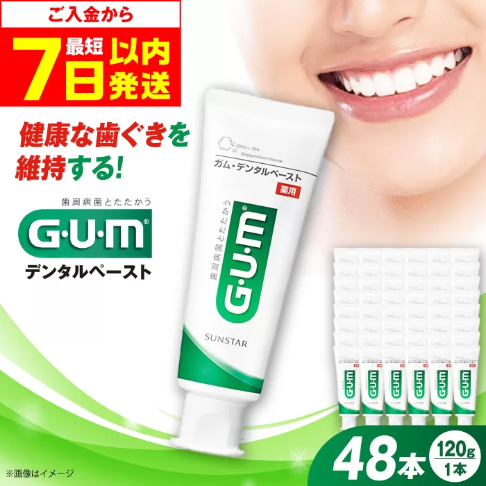 GUM デンタルペースト(ST) 120g×48本 歯磨き 歯みがき ハミガキ 歯周病 虫歯 口臭 大阪府高槻市/サンスター[AOAD011]