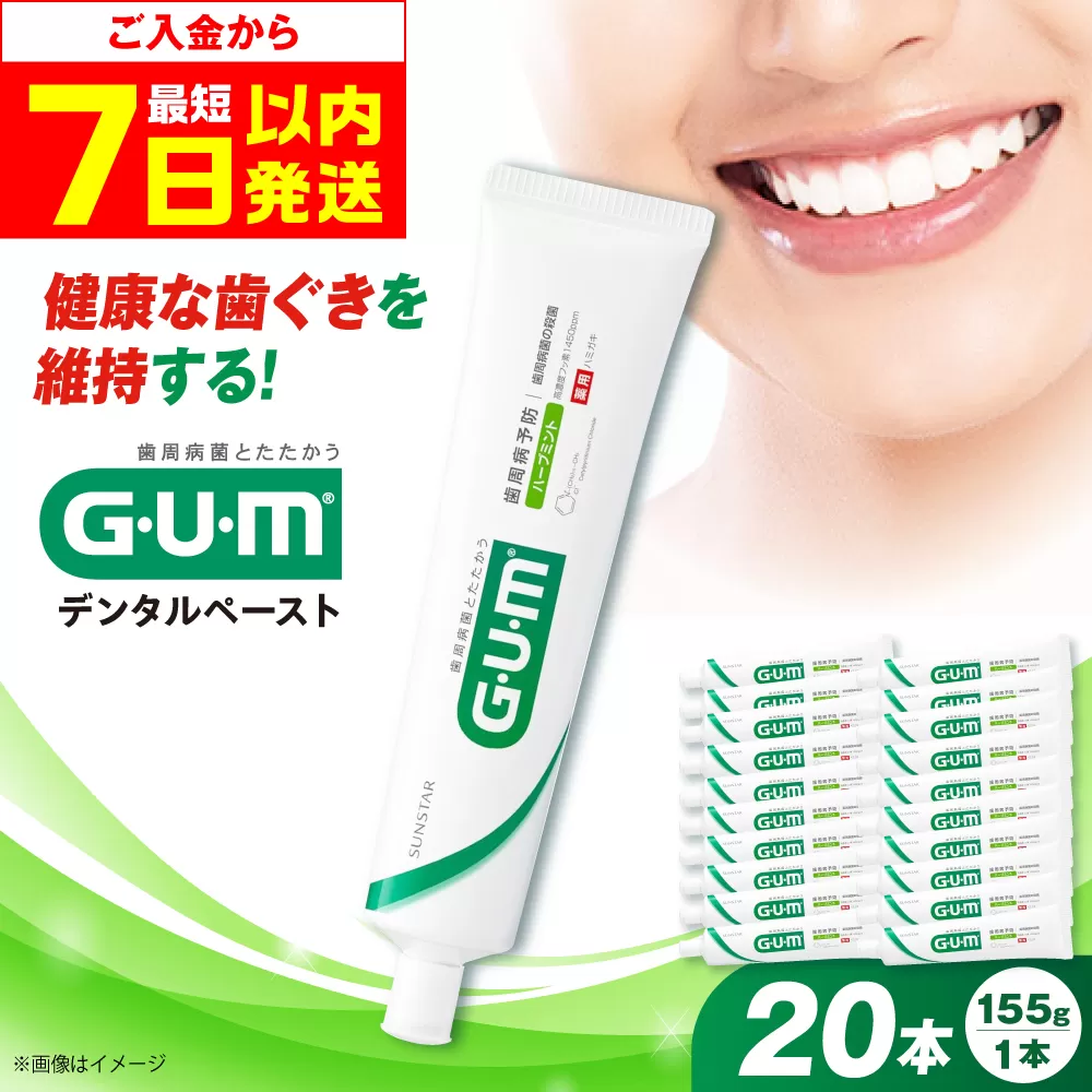 ガム・デンタルペースト 155g×20本 サンスター 歯磨き 歯みがき ハミガキ 歯周病 虫歯 口臭 大阪府高槻市/サンスター[AOAD026]
