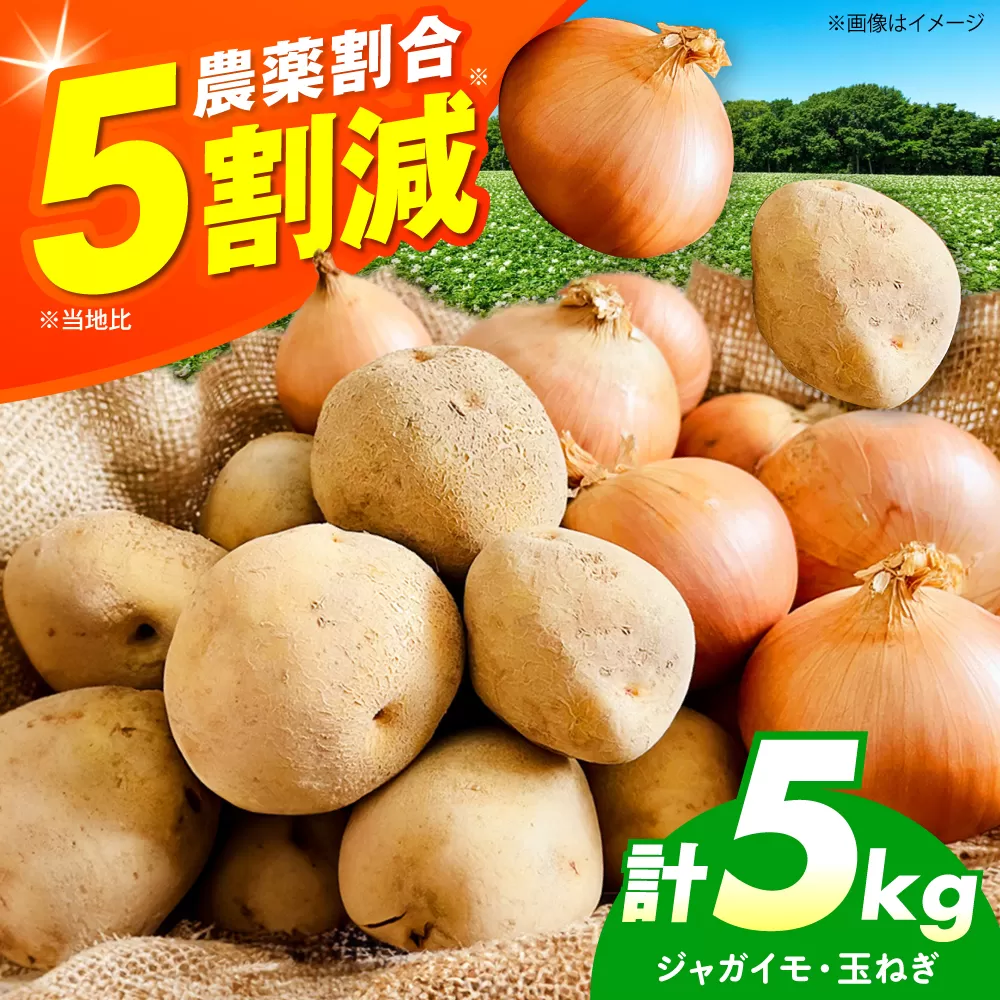 ジャガイモ&タマネギ詰め合わせ 5キロ 野菜 やさい 詰合せ 詰め合わせ じゃがいも たまねぎ 玉ねぎ 旬野菜 大阪府高槻市/ベジ彩ファーム [AOEJ002]