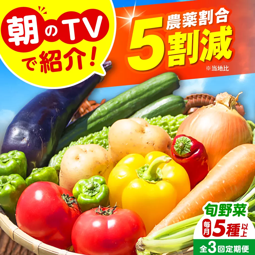 【全3回定期便】 米ぬかで育てた！旬のお野菜セット 詰合せ 詰め合わせ 新鮮 産地直送 おまかせ やさい 野菜セット 大阪府高槻市/ベジ彩ファーム [AOEJ005]