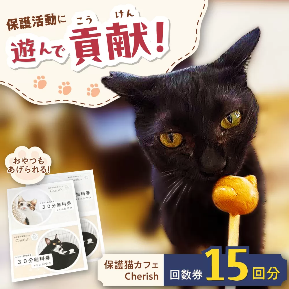 Cherish猫カフェ 回数券（15回分） 猫 ねこ ネコ 保護猫 支援 動物愛護 応援 大阪府高槻市／特定非営利活動Cherish [AODU003]