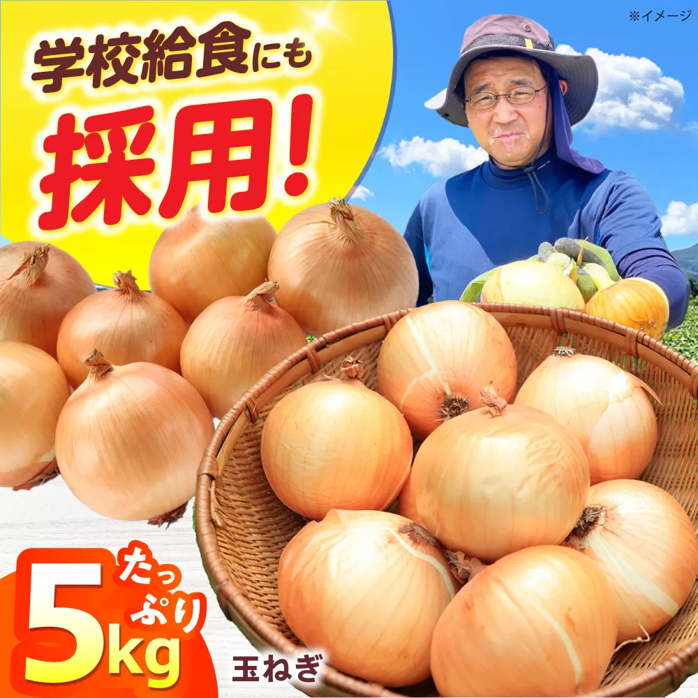 新鮮！しゃきしゃき！ 玉ねぎ 5kg （7月以降発送予定） 大阪府高槻市/高槻あぐり [AOCS027]