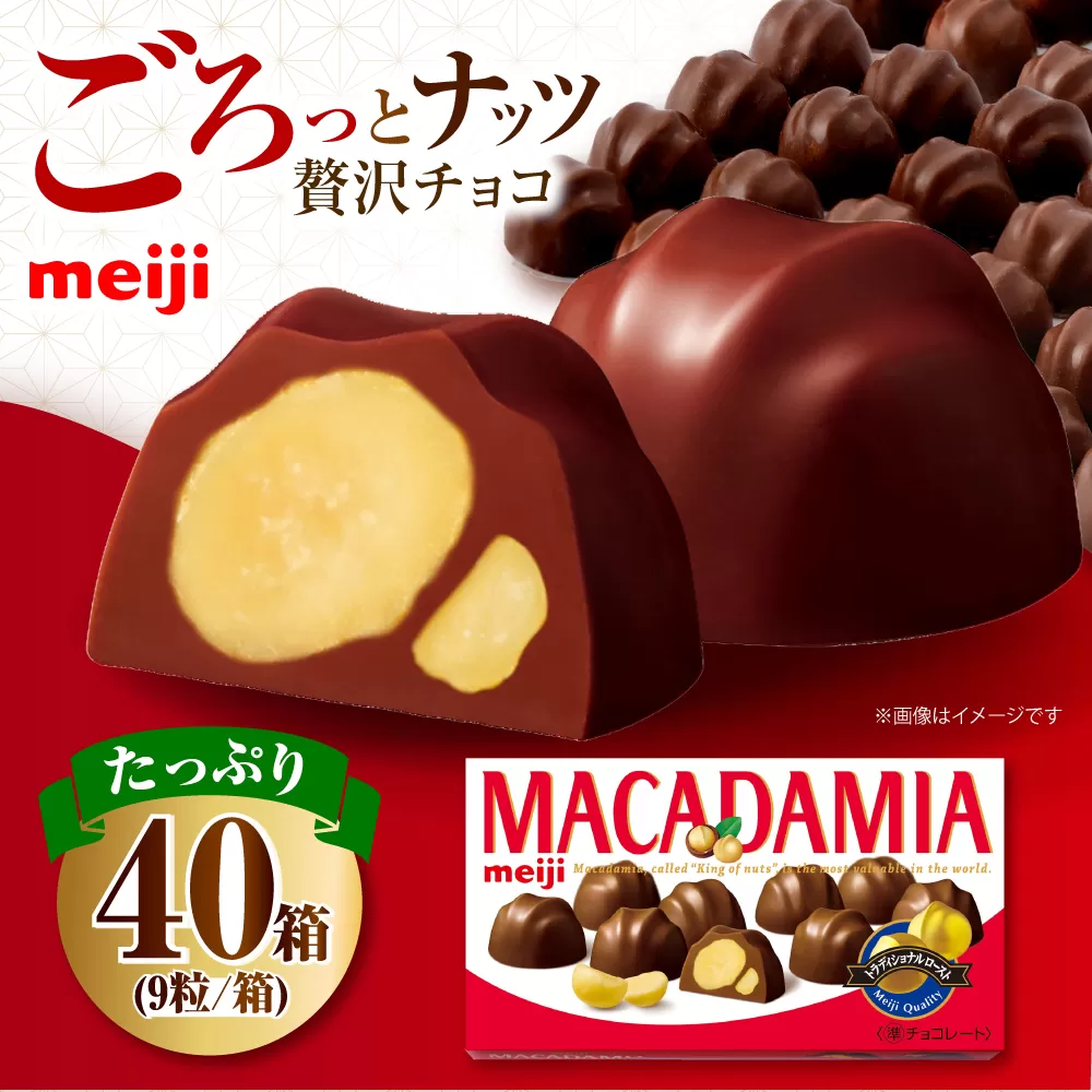 明治 マカダミアチョコレート 9粒×40箱 チョコレート 明治 チョコ ナッツ マカダミアチョコ お菓子 おやつ ストック スイーツ デザート 大容量 大阪府高槻市/株式会社 丸正高木商店 [AOAA066]
