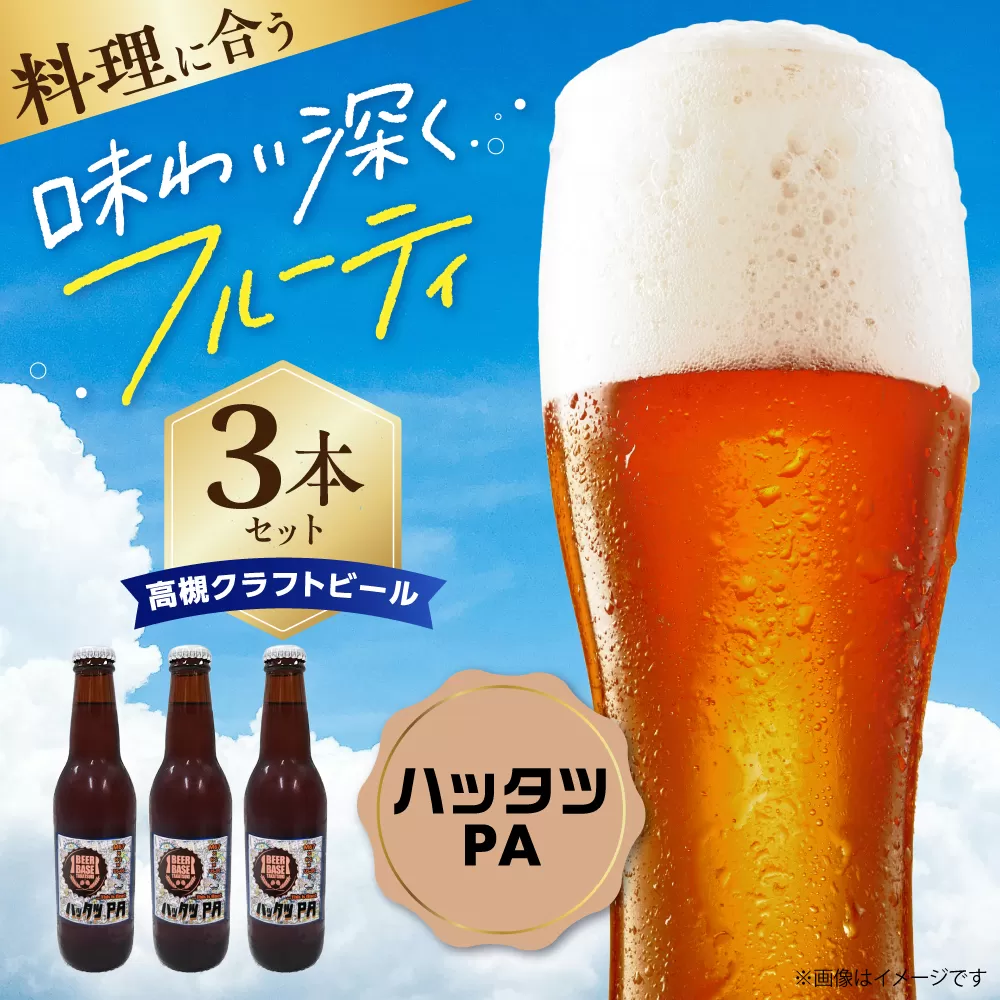 高槻クラフトビール HATTATSU-PA 3本 お酒 ビール クラフトビール 瓶 ギフト 大阪府高槻市/株式会社C-style [AOCI012]