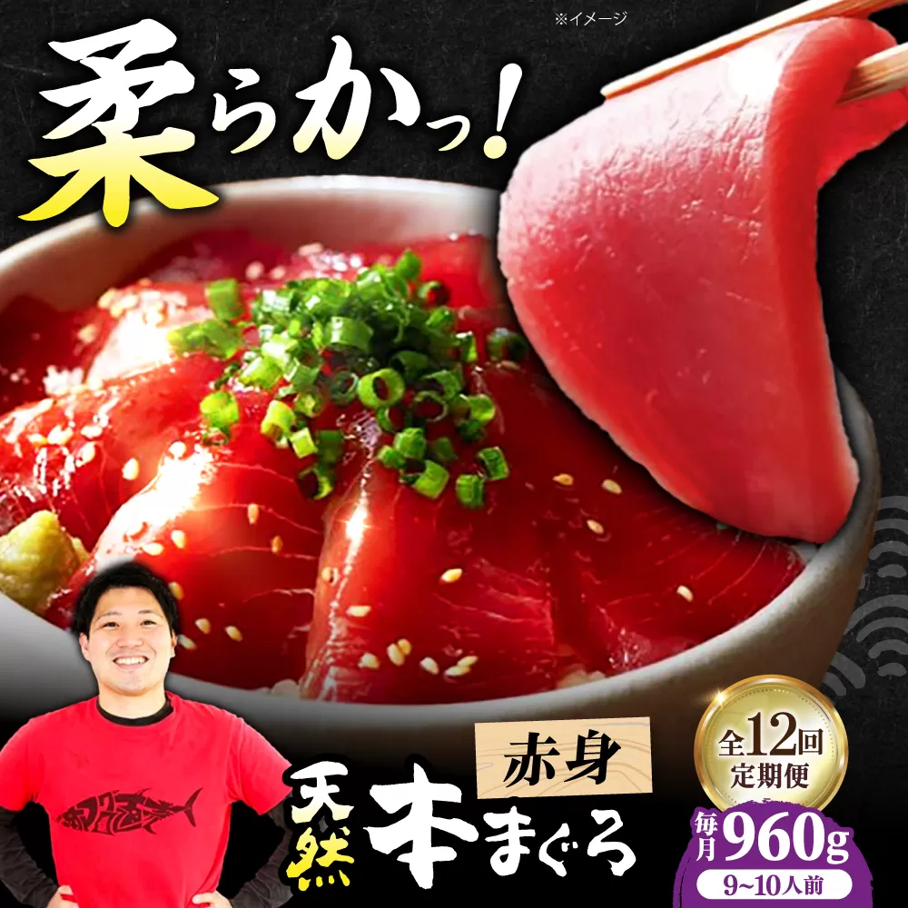 【全12回定期便】極上！たね熟天然本まぐろ赤身(960g) 天然 マグロ 鮪 赤身 刺身 魚 魚介 大阪府高槻市/本まぐろ直売所 [AOCE021]