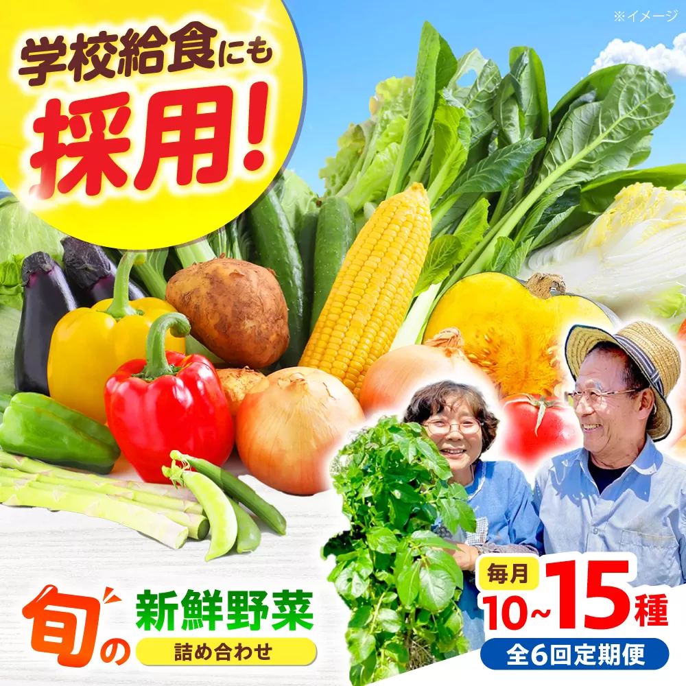 【全6回】【数量限定】厳選！旬を味わう高槻野菜おまかせ詰め合わせ定期便（10種〜15種）　大阪府高槻市/高槻あぐり [AOCS020]