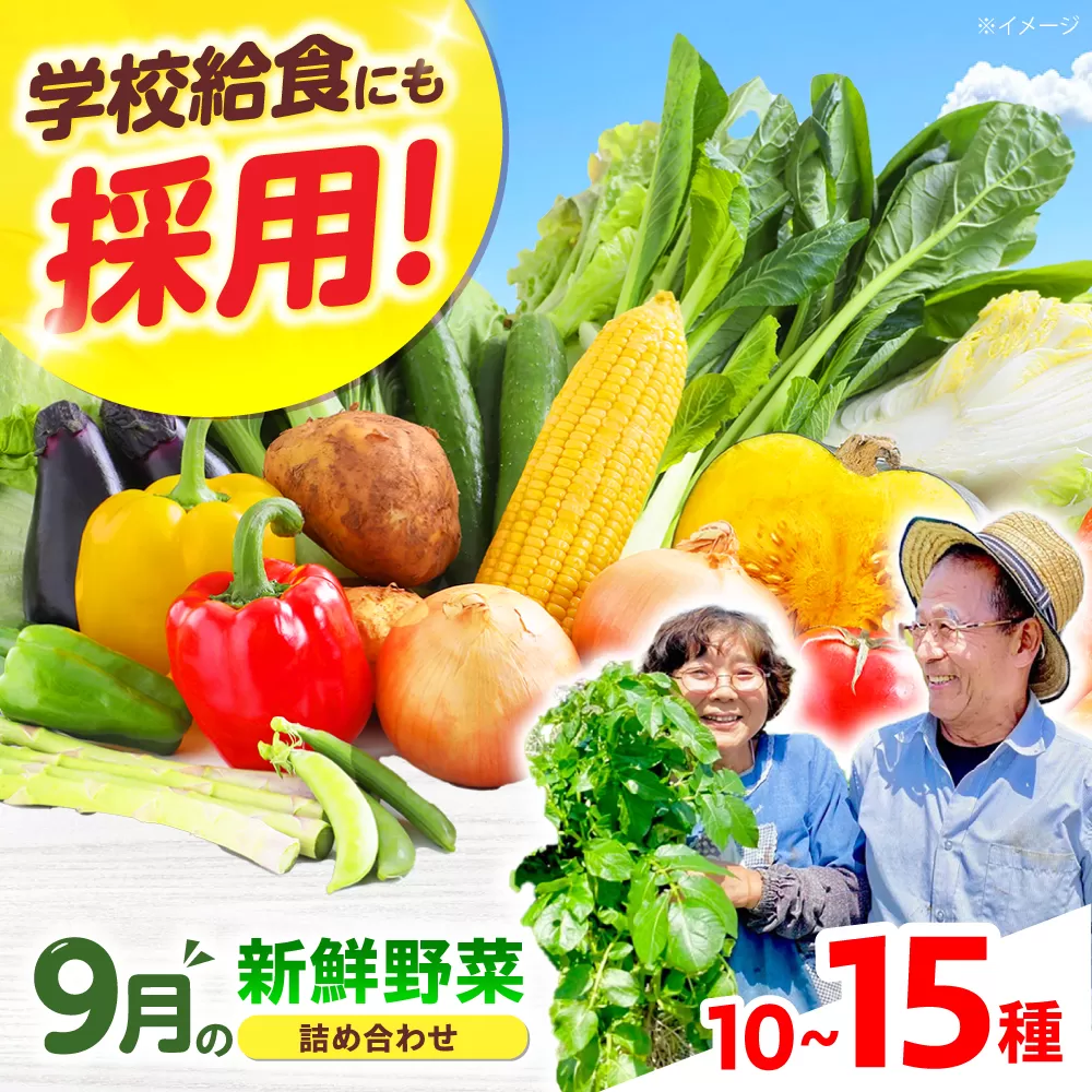 【数量限定】厳選！旬を味わう高槻野菜おまかせ詰め合わせセット 9月（10種〜15種）　大阪府高槻市/高槻あぐり [AOCS015]