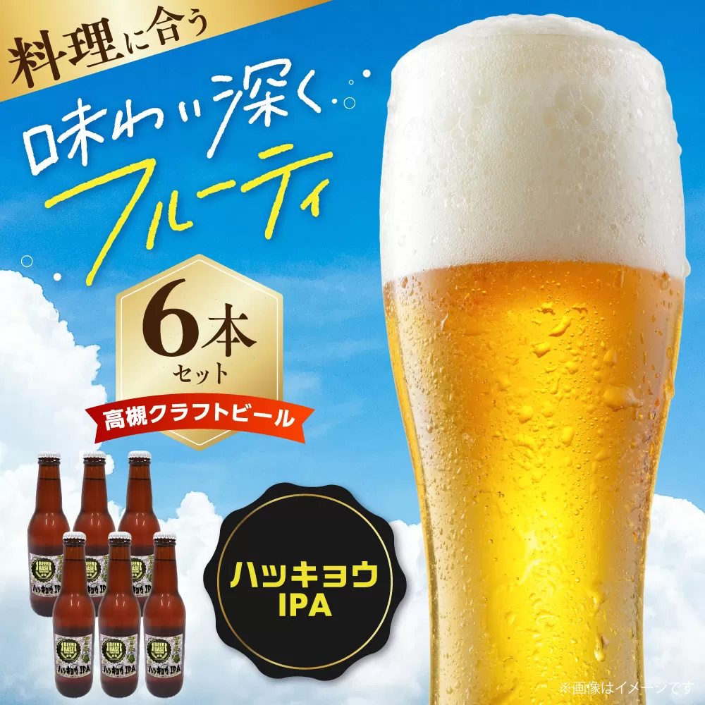 高槻クラフトビール HAKKYOU-IPA 6本 お酒 ビール クラフトビール 瓶 ギフト 大阪府高槻市/株式会社C-style [AOCI009]
