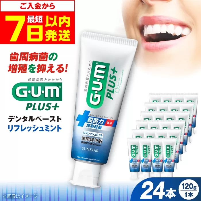ガム・プラス デンタルペースト 120g×24本（リフレッシュミント） 歯磨き 歯みがき ハミガキ 歯周病 虫歯 口臭 大阪府高槻市/サンスター[AOAD028]