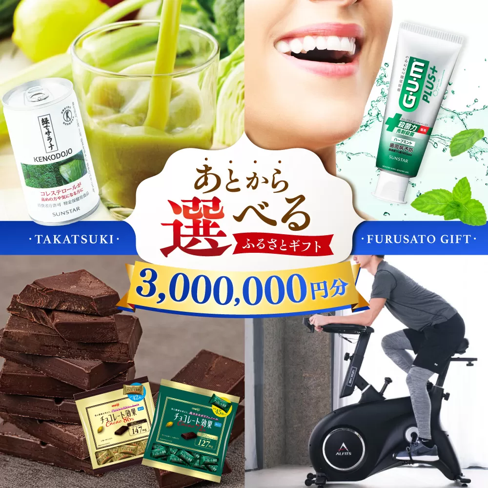 【あとから選べる】高槻市ふるさとギフト 300万円分 チョコ はみがき ダイエット 筋トレ 野菜 ハミガキ 肉 ギフト カタログ あとからセレクト グルメ 食品 お取り寄せ おつまみ 詰め合わせ [AOZZ013]
