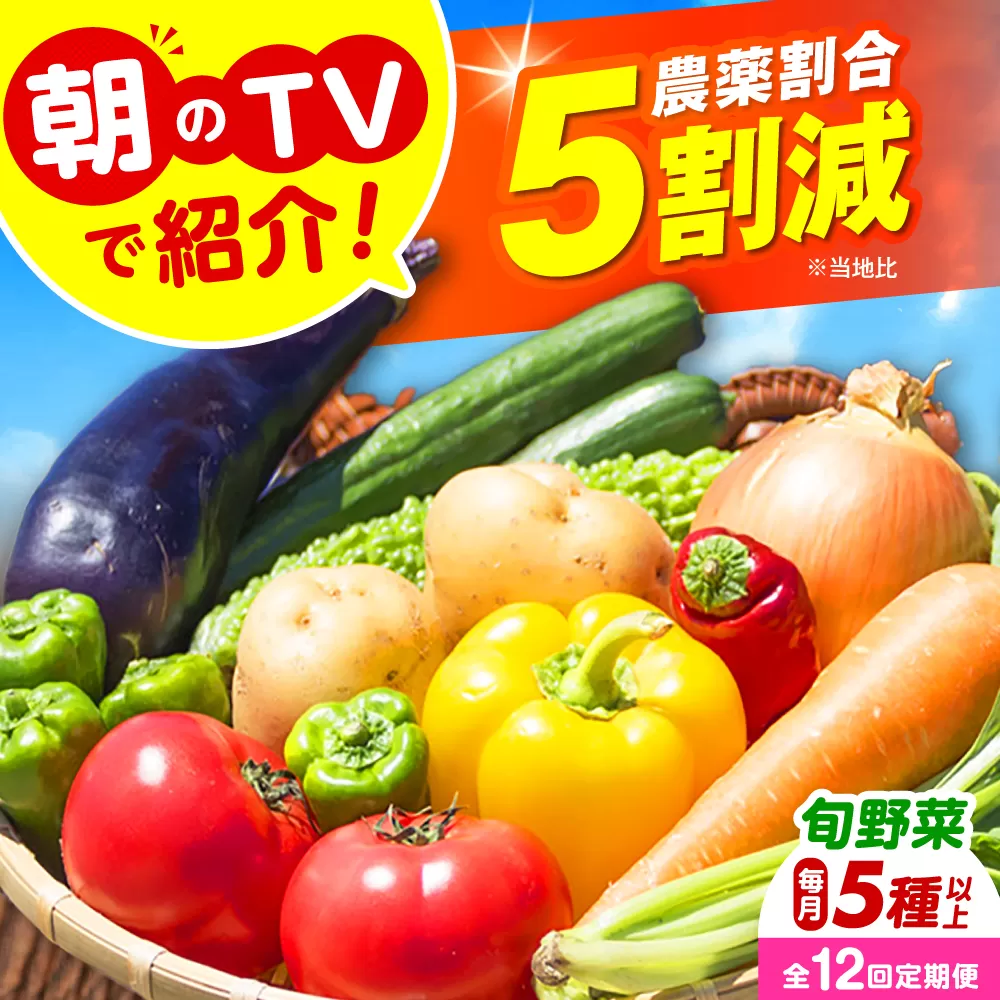 [全12回定期便] 米ぬかで育てた!旬のお野菜セット 詰合せ 詰め合わせ 新鮮 産地直送 おまかせ やさい 野菜セット 大阪府高槻市/ベジ彩ファーム [AOEJ007]