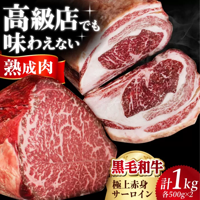 【ふるさと納税限定】あなただけのドライエイジング熟成黒毛和牛ブロック（極上赤身＆サーロイン）1kg 大阪府高槻市/株式会社ＭＡＲＢＬＡＮＣ [AOAS002]