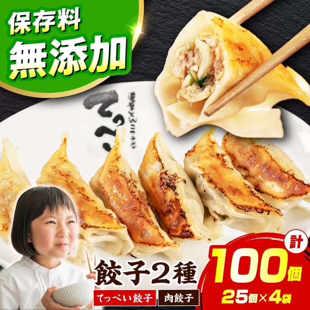 合計100個 石田てっぺい[肉餃子50個&てっぺい餃子50個] ラーメンやビールとの相性バッチリ 大阪府高槻市/無人屋 [AOCX004] 惣菜 おかず ご飯のお供 餃子 シュウマイ