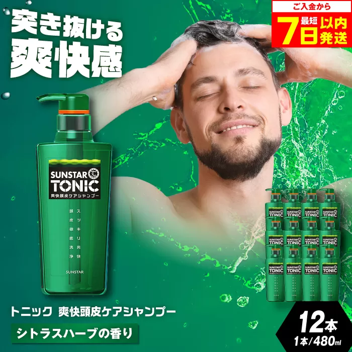 サンスタートニックシャンプー 480ml×12本＜シトラスハーブの香り＞ シャンプー メンズ 男性 大容量 まとめ買い 大阪府高槻市/サンスター[AOAD030]