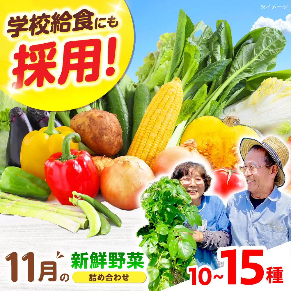【数量限定】厳選！旬を味わう高槻野菜おまかせ詰め合わせセット 11月（10種〜15種）　大阪府高槻市/高槻あぐり [AOCS017] 新鮮 旬 人気 お取り寄せ 詰め合わせ