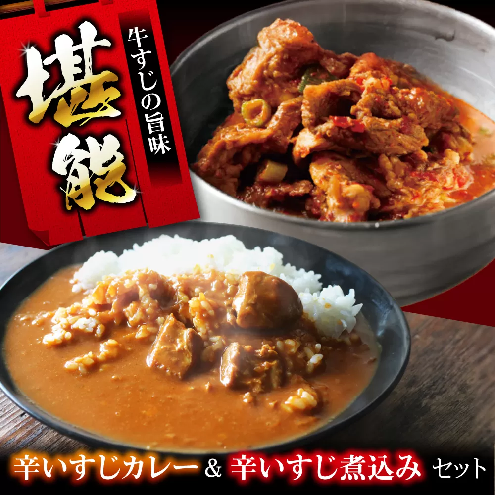 辛いすじカレー＆辛いすじ煮込みセット 温めるだけ 人気 ギフト 贈答 簡単調理 カレー カレーライス 牛筋 牛スジカレー レトルト レトルトカレー 大阪府高槻市/SCYグループ株式会社 [AOEG005]