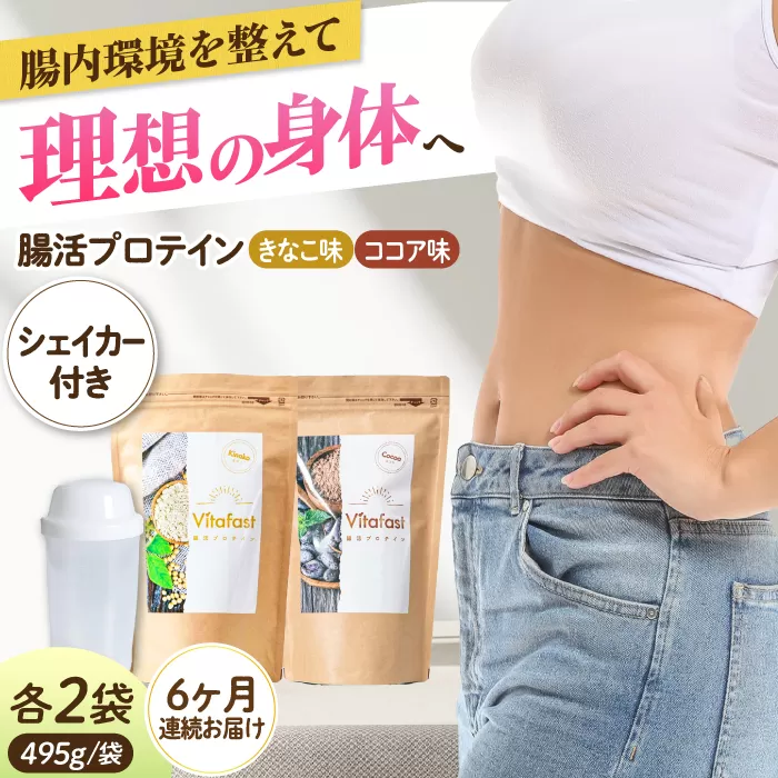 【定期便6ヶ月連続】Vitafast 乳酸菌プロテイン きなこ&ココア味 各1袋×6ヶ月  計12袋 シェイカー1個付き 筋トレ プロテイン トレーニング シェイカー 大阪府高槻市/合同会社会社VITASTRATE[AOCH001]