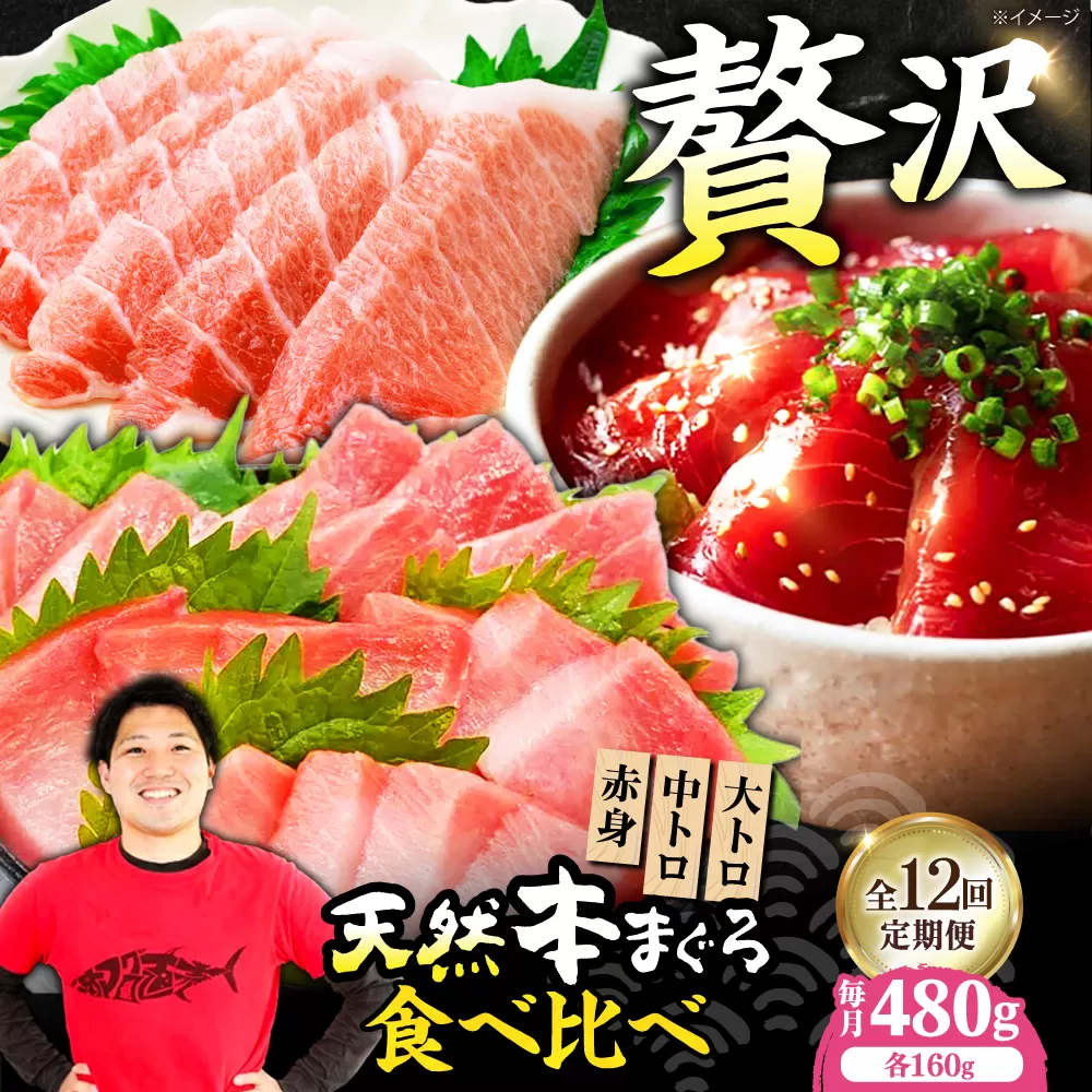 【全12回定期便】極上！たね熟天然本まぐろ赤身＆中トロ＆大トロセット(各160g 計480g)　大阪府高槻市/本まぐろ直売所 [AOCE045]