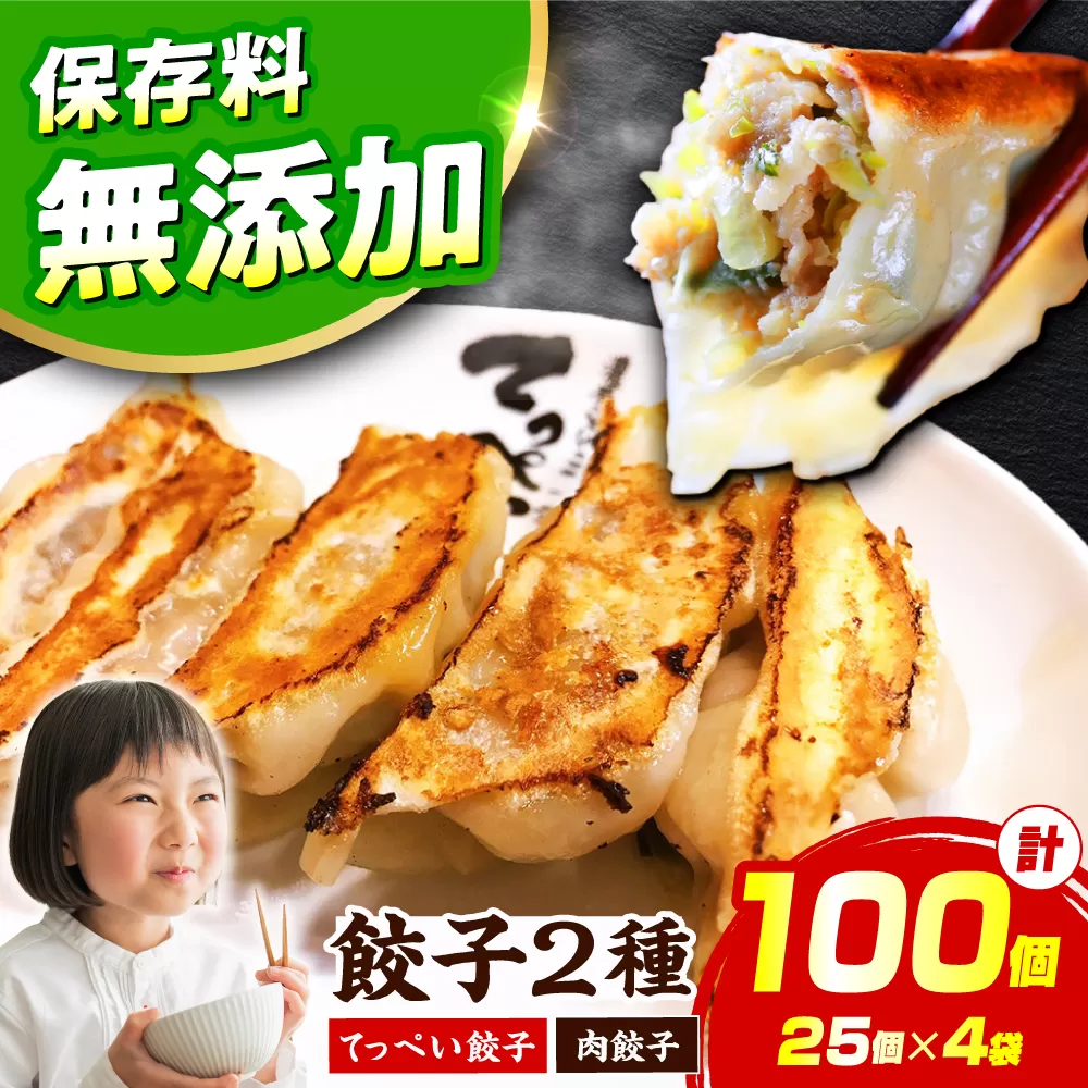 合計100個 石田てっぺい[肉餃子50個&てっぺい餃子50個] ラーメンやビールとの相性バッチリ 大阪府高槻市/無人屋 [AOCX004] 惣菜 おかず ご飯のお供 餃子 シュウマイ