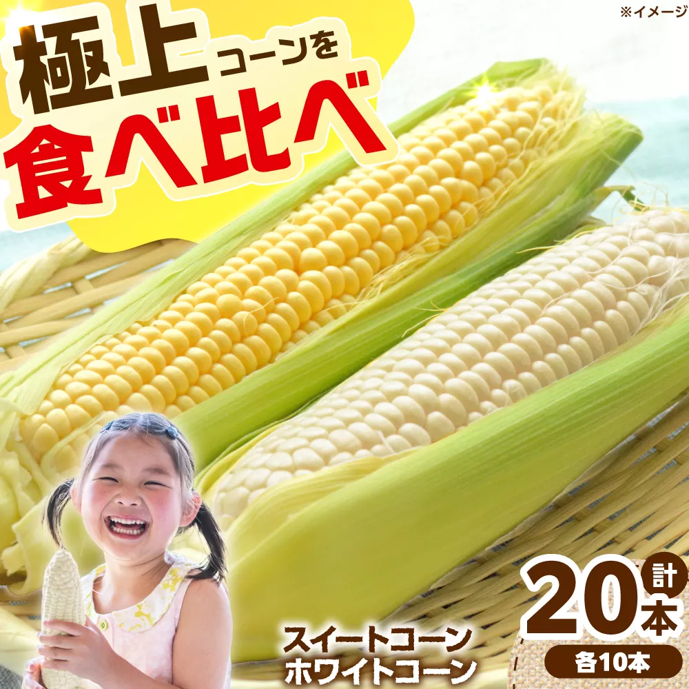 【6月頃発送予定】朝採れとうもろこし スイートコーン ホワイトコーン 食べ比べセット 各10本 高槻市産 とうもろこし トウモロコシ コーン 甘い 野菜 新鮮 大阪府高槻市/高槻あぐり [AOCS030]