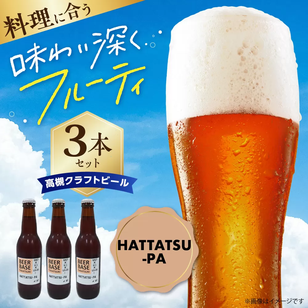 高槻クラフトビール HATTATSU-PA 3本 お酒 ビール クラフトビール 瓶 ギフト 大阪府高槻市/株式会社C-style [AOCI012]