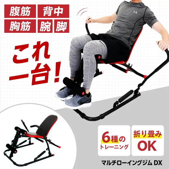 マルチローイングジムDX/EXG244R 健康 運動 ダイエット 家庭用 ベンチプレス 大阪府高槻市/アルインコ[AOAB063]