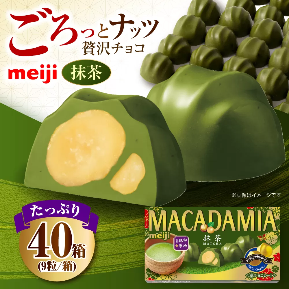 明治 マカダミアチョコレート抹茶 9粒×40箱  チョコレート 明治 チョコ ナッツ マカダミアチョコ お菓子 おやつ ストック スイーツ デザート 抹茶 まっちゃ 大容量 大阪府高槻市/株式会社 丸正高木商店 [AOAA067]