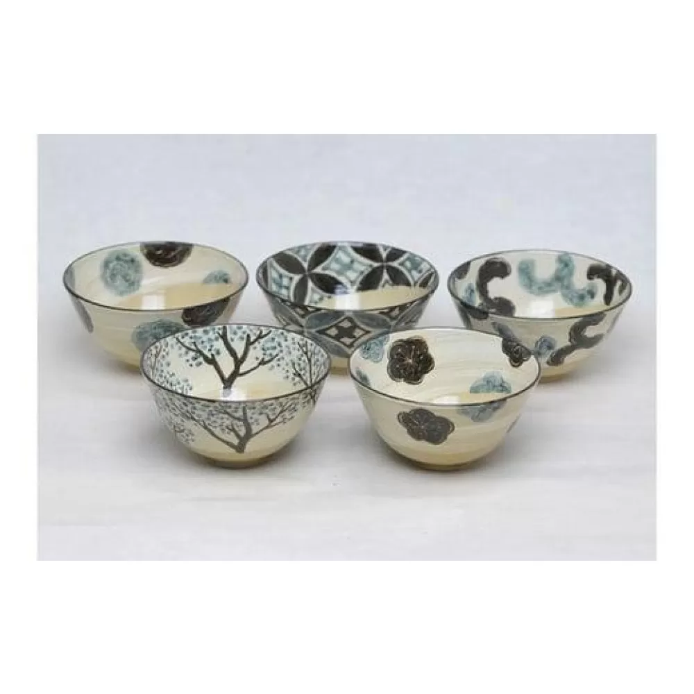 乾山 絵替飯碗 ５柄セット【水間焼伏原窯】