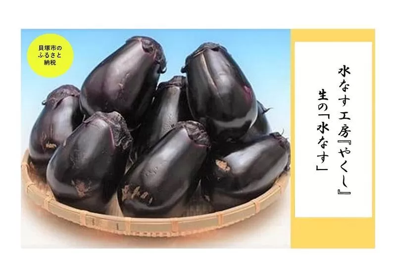 ＜2026年3月上旬頃から順次発送＞ 水なす工房『やくし』生の「水なす」