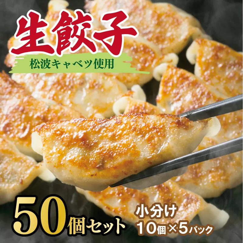 【期間限定】生餃子 50個セット【小分け 10パック 甘いと評判 松波キャベツ使用 冷凍餃子 焼くだけ 人気 惣菜】 010B1538