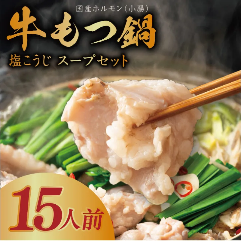 牛もつ鍋セット 15人前【国産 牛肉 ホルモン 塩こうじ スープ付き モツ 鍋 高評価 冷凍 鍋セット 簡単調理】 015B570