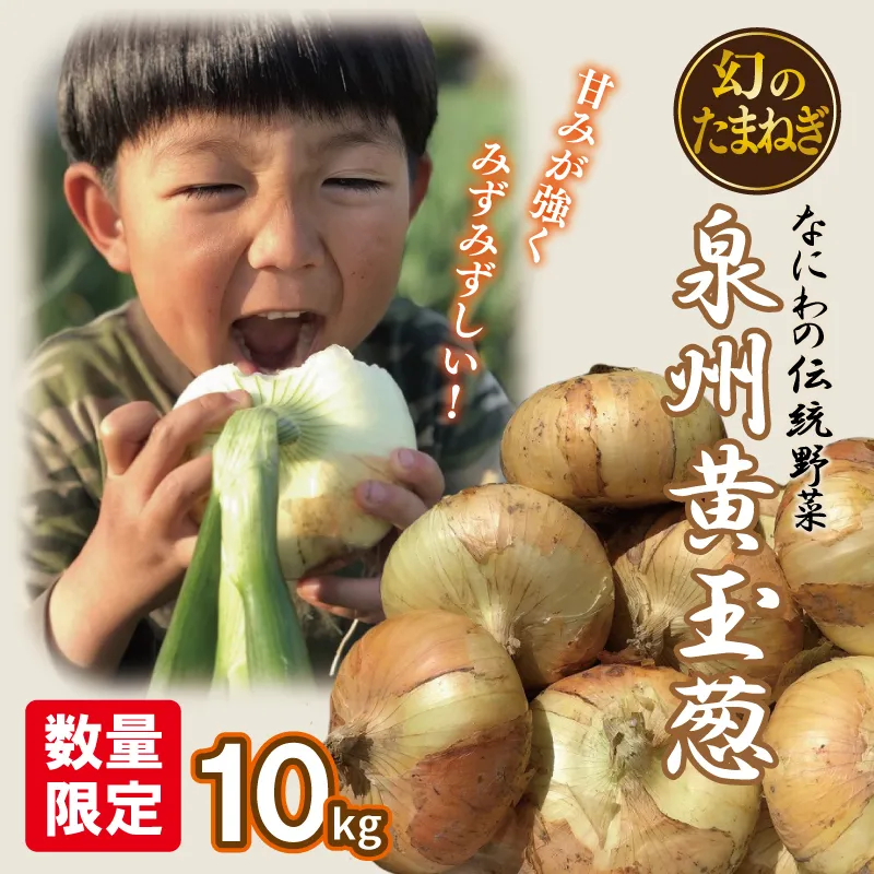 【先行予約】 数量限定 幻のたまねぎ 泉州黄玉ねぎ 10kg【新鮮 野菜 泉佐野産 茄子 やさい 高評価 数量限定】 010B259