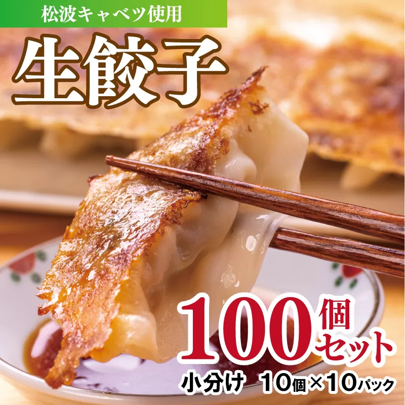 生餃子 100個セット【小分け 10パック 甘いと評判 松波キャベツ使用 冷凍餃子 焼くだけ 人気 惣菜】 099H3170