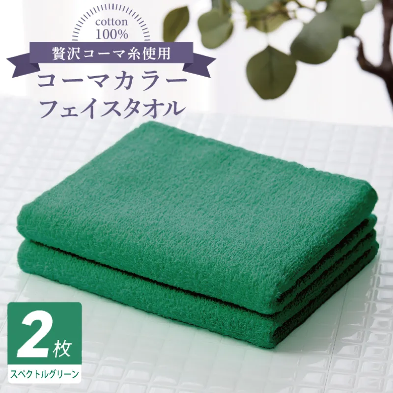 コーマカラーフェイスタオル 2枚（スペクトルグリーン) 【泉州タオル 国産 吸水 薄手 普段使い 無地 シンプル 日用品】 005A630