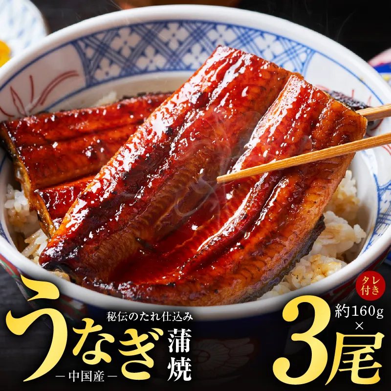 秘伝のたれ仕込み うなぎ蒲焼 合計480g（約160ｇ×3尾）鰻 ウナギ 中国産 温めるだけ 簡単 レンジ調理 ふっくらふわふわ 炭火焼き 備長炭 手焼き G1877