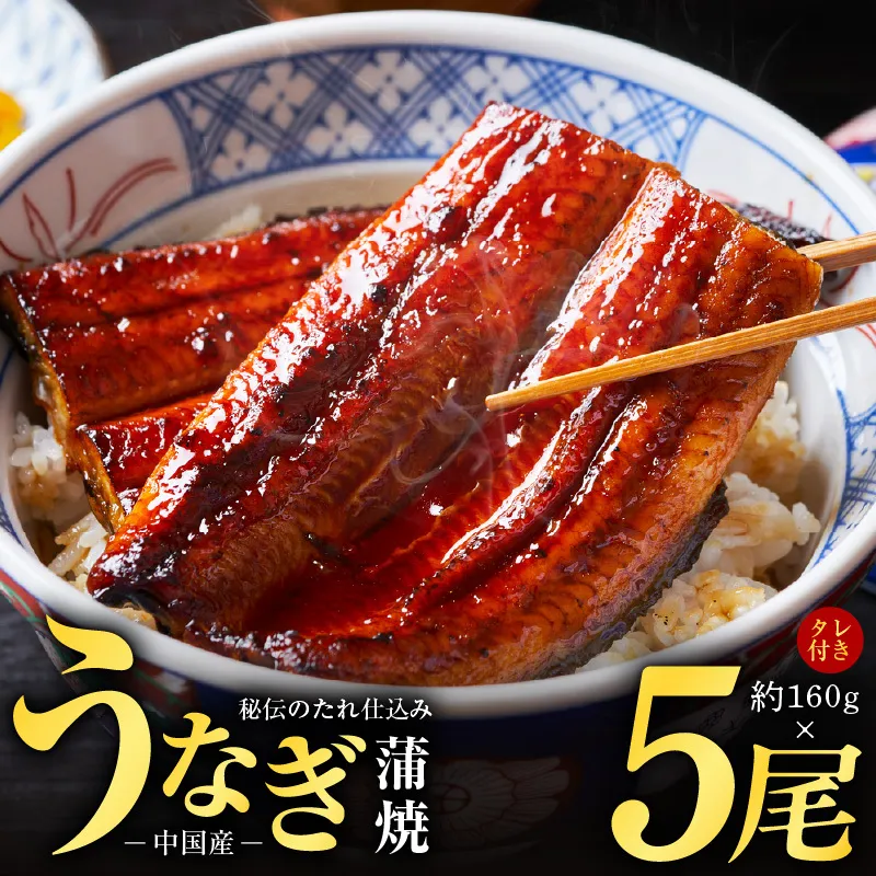 秘伝のたれ仕込み うなぎ蒲焼 合計800g（約160ｇ×5尾）鰻 ウナギ 中国産 温めるだけ 簡単 レンジ調理 ふっくらふわふわ 炭火焼き 備長炭 手焼き kgp0020