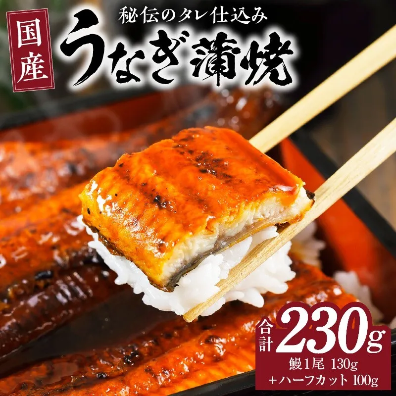 国産うなぎ お試し 230g（鰻1尾 130g+ ハーフカット 100g）訳あり お試し ウナギ 無頭 炭火焼き 備長炭 手焼き kgp0040