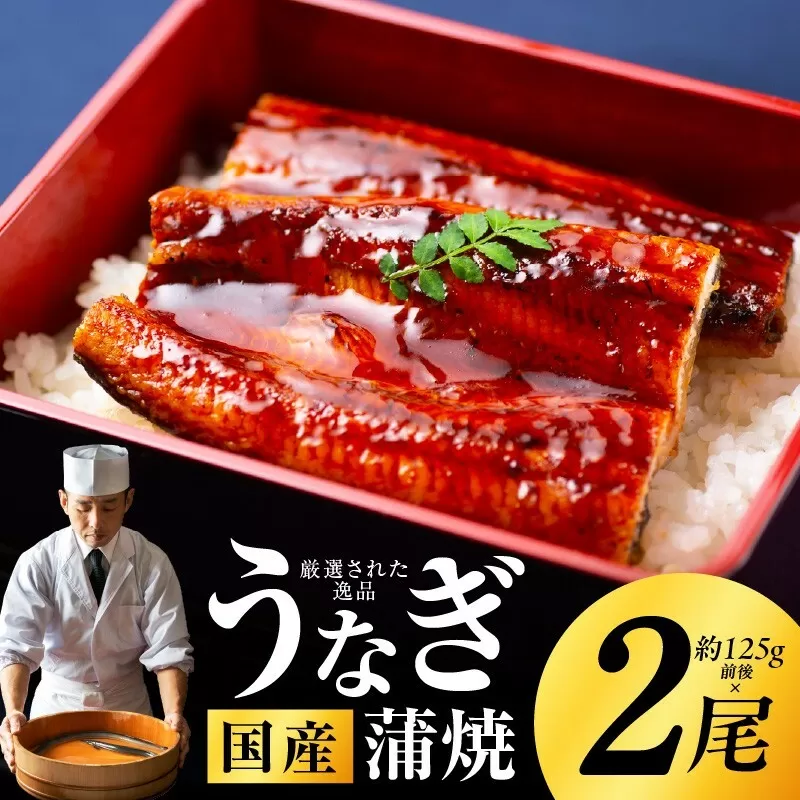 国産うなぎ 約125g×2尾 秘伝のたれ 蒲焼 鰻 ウナギ 有頭 炭火焼き 備長炭 手焼き 099H2641
