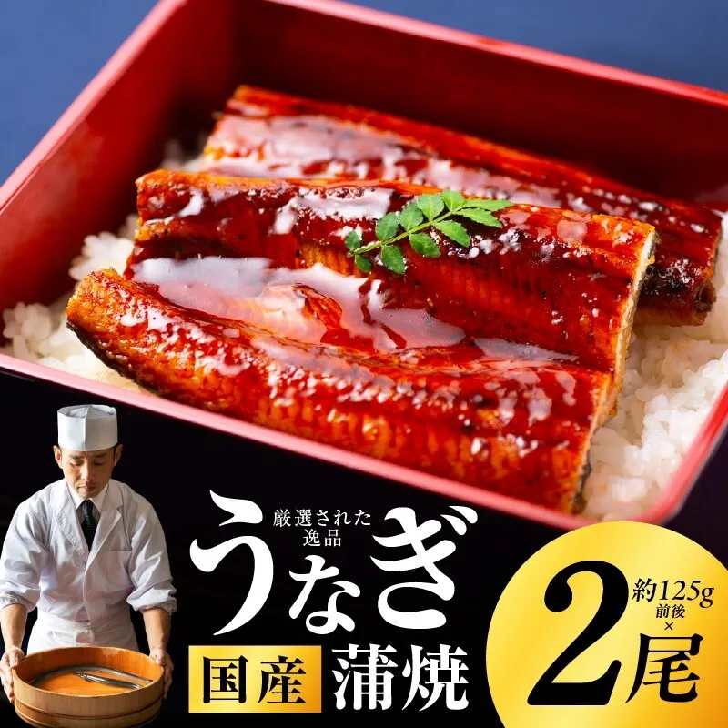 国産うなぎ 約125g×2尾 秘伝のたれ 蒲焼 鰻 ウナギ 有頭 炭火焼き 備長炭 手焼き G1850