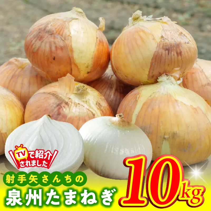【TVで紹介！】射手矢さんちの泉州たまねぎ 10kg【玉ねぎ タマネギ 玉葱 甘い 野菜 国産 期間限定 オニオン スライス サラダ カレー シチュー バーベキュー BBQ 肉じゃが】 G1498