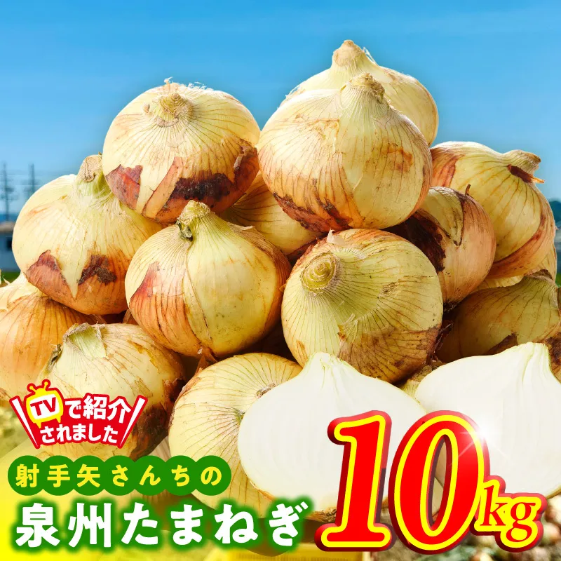射手矢さんちの泉州たまねぎ 10kg【玉ねぎ タマネギ 玉葱 甘い 野菜 国産 期間限定 オニオン スライス サラダ カレー シチュー バーベキュー BBQ 肉じゃが TVで紹介！】 G3686