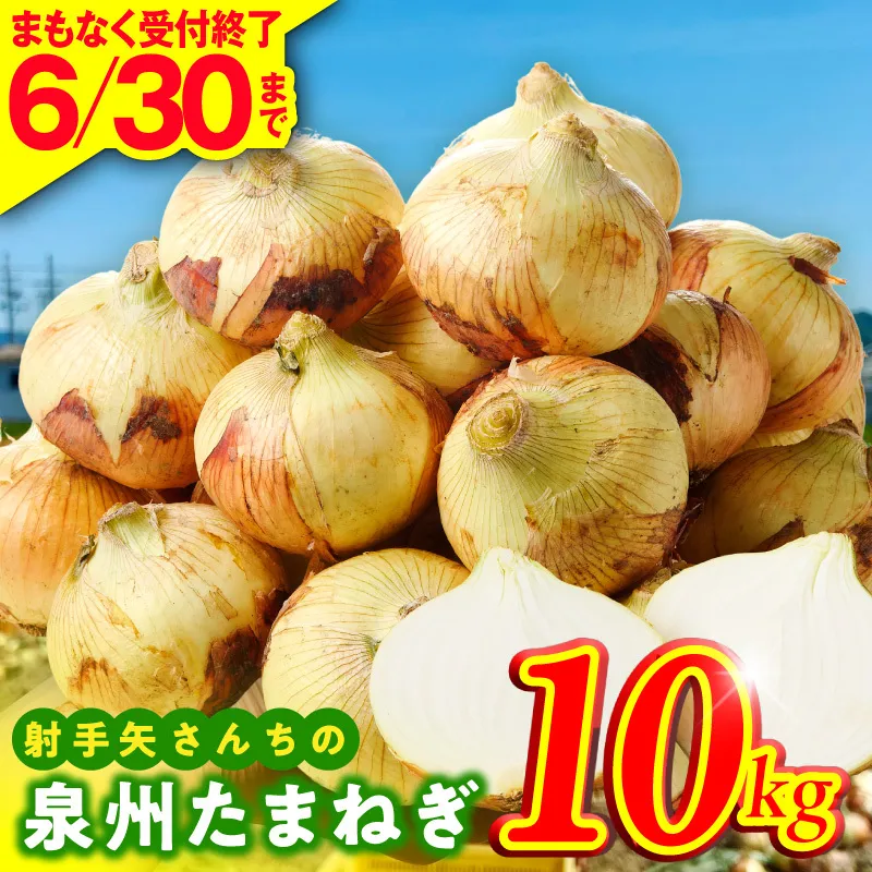 【6月30日受付終了】射手矢さんちの泉州たまねぎ 10kg【玉ねぎ タマネギ 玉葱 甘い 野菜 国産 期間限定 オニオン スライス サラダ カレー シチュー バーベキュー BBQ 肉じゃが】 G3686-1
