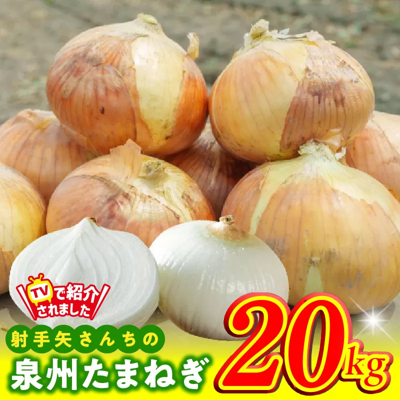【TVで紹介！】射手矢さんちの泉州たまねぎ 20kg【玉ねぎ タマネギ 玉葱 甘い 野菜 国産 期間限定 オニオン スライス サラダ カレー シチュー バーベキュー BBQ 肉じゃが】 G1499