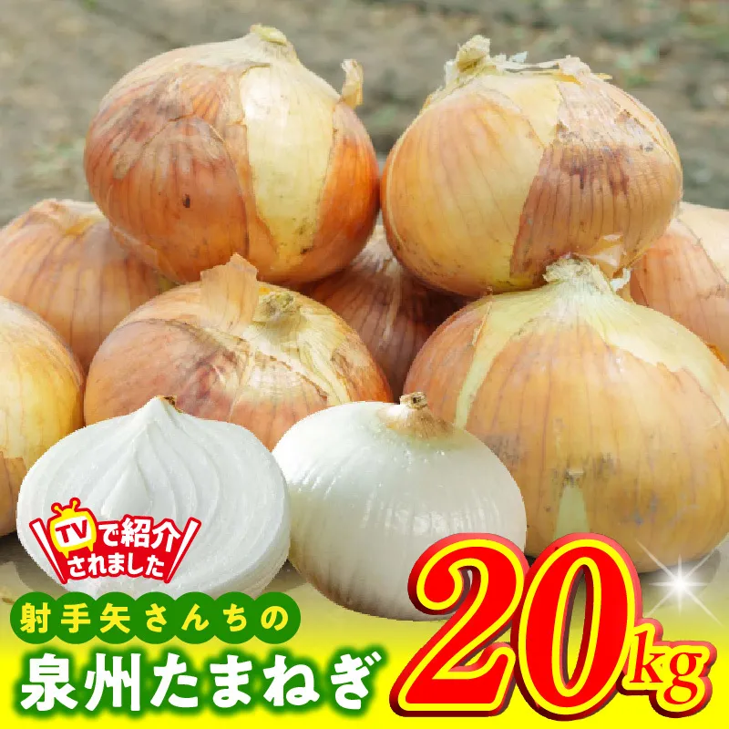 【TVで紹介！】射手矢さんちの泉州たまねぎ 20kg【玉ねぎ タマネギ 玉葱 甘い 野菜 国産 期間限定 オニオン スライス サラダ カレー シチュー バーベキュー BBQ 肉じゃが】 G1499