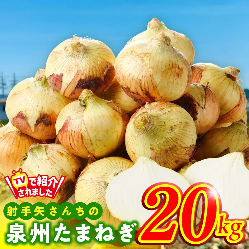 射手矢さんちの泉州たまねぎ 20kg【玉ねぎ タマネギ 玉葱 甘い 野菜 国産 期間限定 オニオン スライス サラダ カレー シチュー バーベキュー BBQ 肉じゃが】 G3687-1