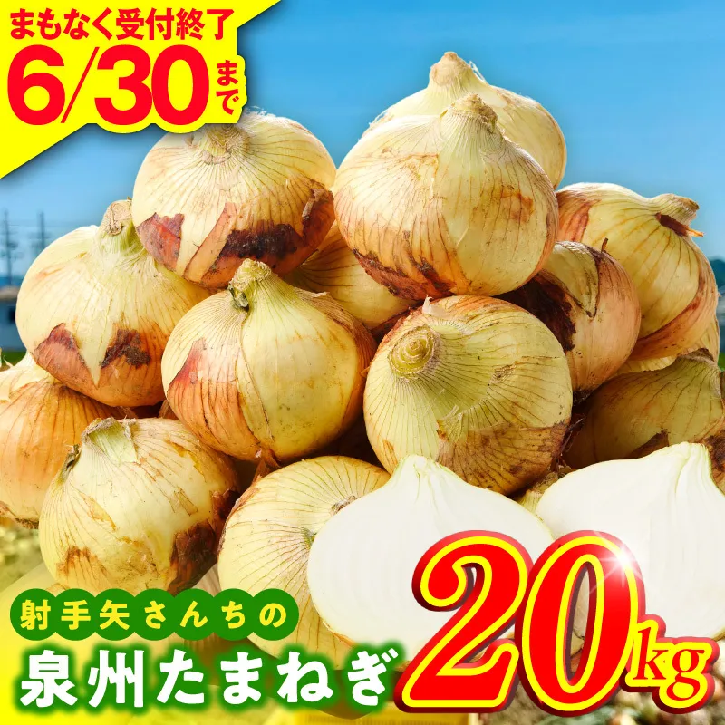 【6月30日受付終了】射手矢さんちの泉州たまねぎ 20kg【玉ねぎ タマネギ 玉葱 甘い 野菜 国産 期間限定 オニオン スライス サラダ カレー シチュー バーベキュー BBQ 肉じゃが】 G3687-1