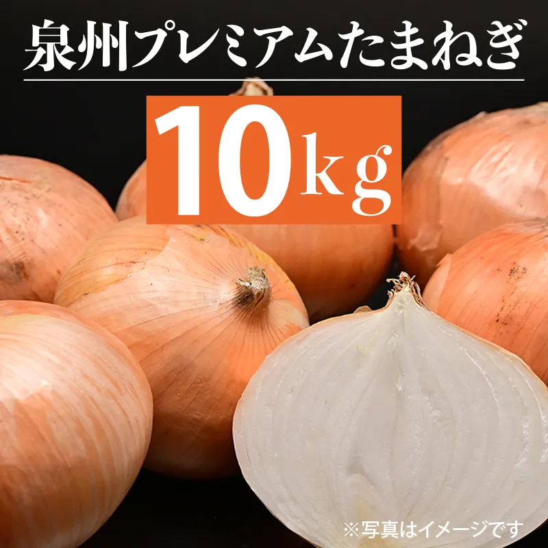 射手矢さんちの泉州プレミアムたまねぎ 10kg 【玉ねぎ タマネギ 玉葱 甘い 野菜 国産 期間限定 オニオン スライス サラダ カレー シチュー バーベキュー BBQ 肉じゃが】 G1317