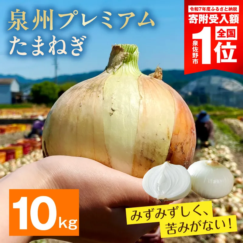 【8/20 受付終了】プレミアムたまねぎ 10kg【泉州 玉ねぎ タマネギ 玉葱 甘い 野菜 国産 オニオン サラダ カレー バーベキュー】 G3680-1